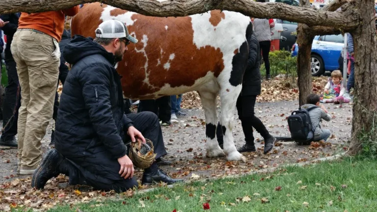 I Tried These AI Relationship Prompts for 30 Days and the Results Were Life-Changing